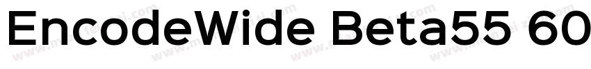 EncodeWide Beta55 600 SemiBold字体转换